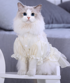Lace Skirt Cat Clothing Manufacturers Pets Supplies Wholesale - 副本
